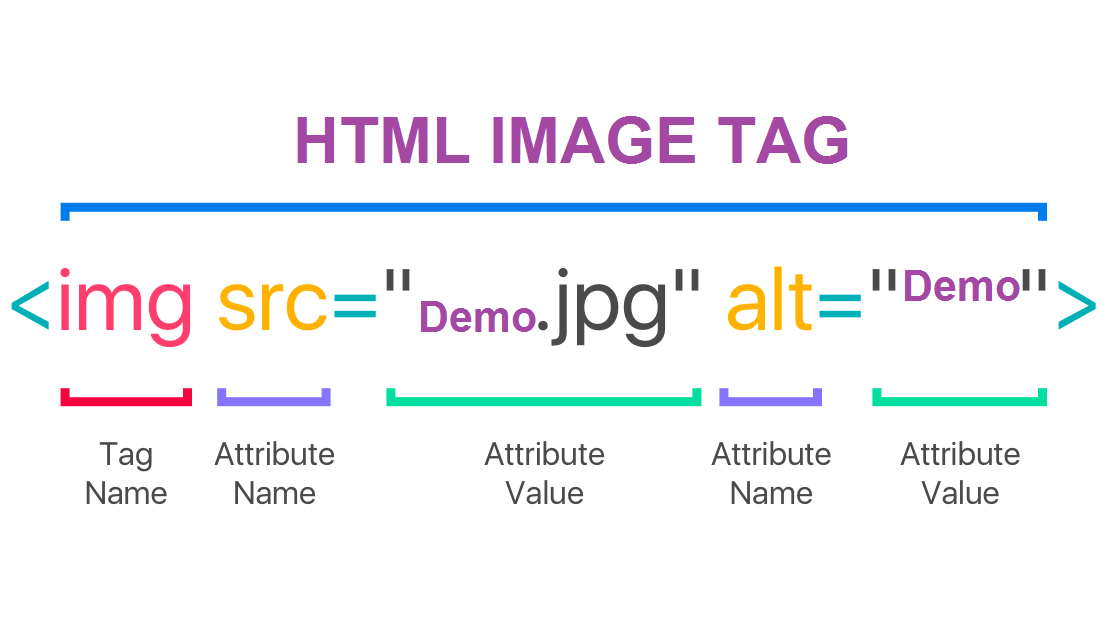 HTML Image Img Tag In Html Images In HTML What Is Img Tag